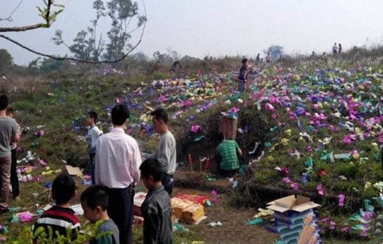 网络配图 网络配图