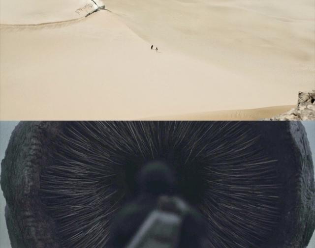 网络图片(侵删) 网络图片(侵删)