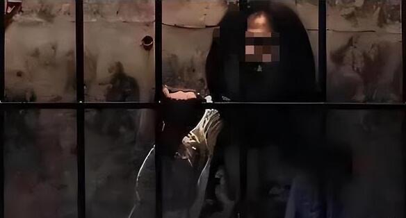 网络图片(侵删) 网络图片(侵删)