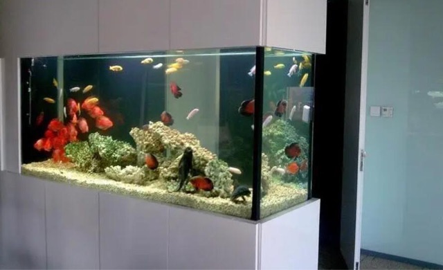 网络图片(侵删) 网络图片(侵删)