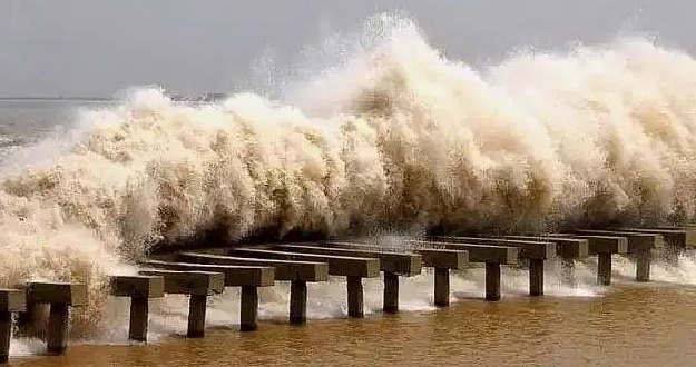 网络图片(侵删) 网络图片(侵删)