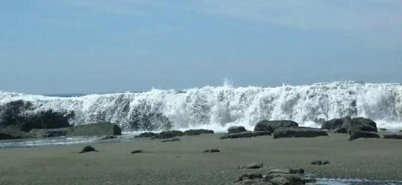 网络图片(侵删) 网络图片(侵删)