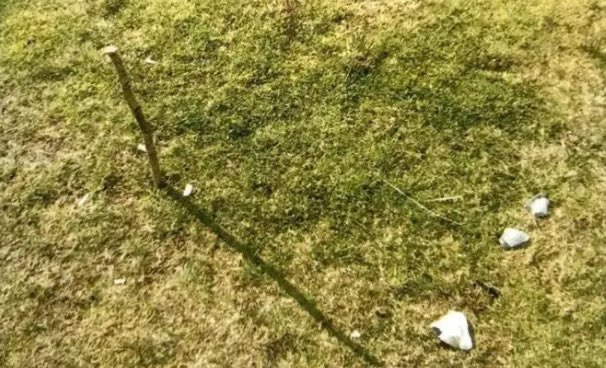 网络图片(侵删) 网络图片(侵删)