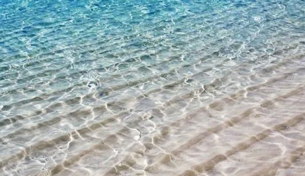 网络图片(侵删) 网络图片(侵删)