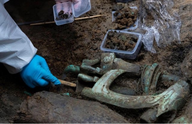 网络图片(侵删) 网络图片(侵删)