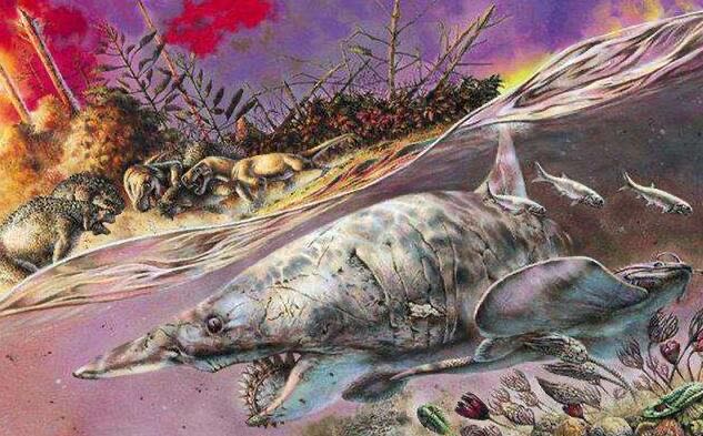 网络图片(侵删) 网络图片(侵删)