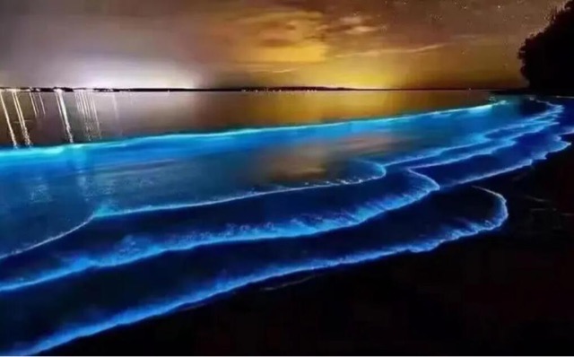 网络图片(侵删) 网络图片(侵删)