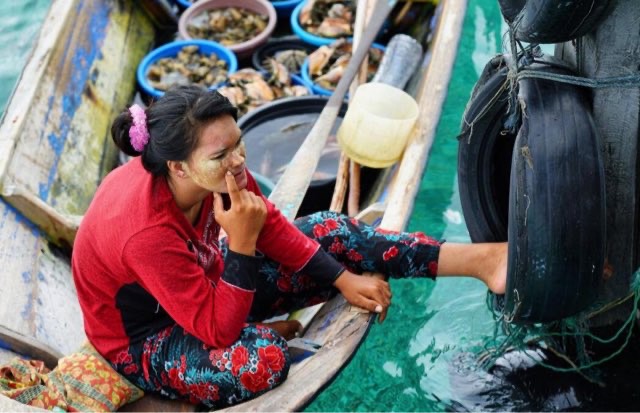 网络图片(侵删) 网络图片(侵删)