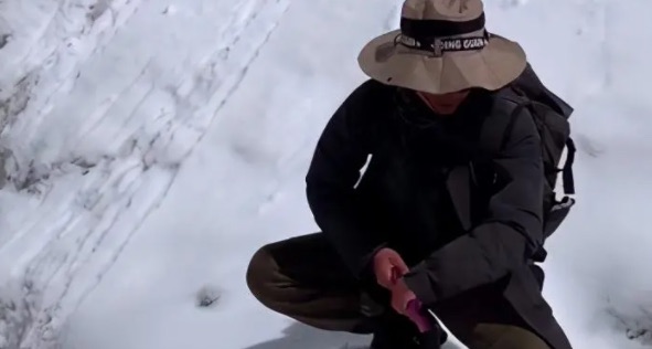 网络图片(侵删) 网络图片(侵删)