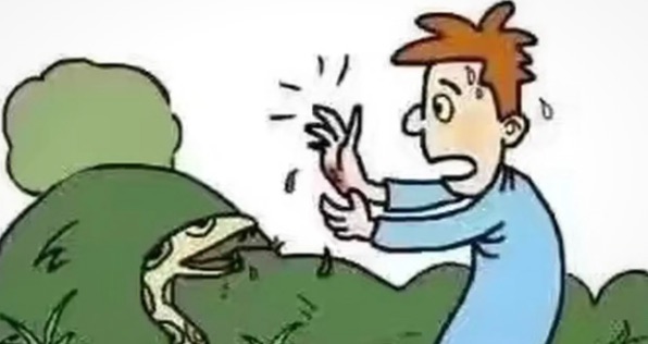 网络图片(侵删) 网络图片(侵删)