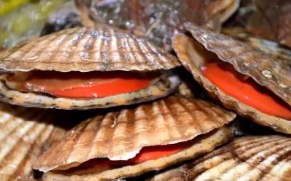 网络图片(侵删) 网络图片(侵删)