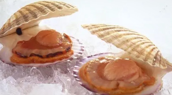 网络图片(侵删) 网络图片(侵删)