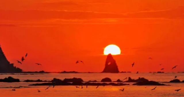 网络图片(侵删) 网络图片(侵删)