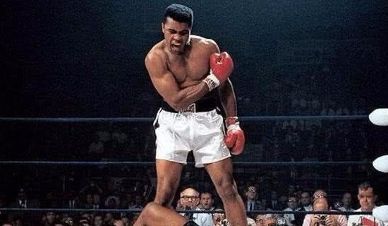 网络配图 网络配图