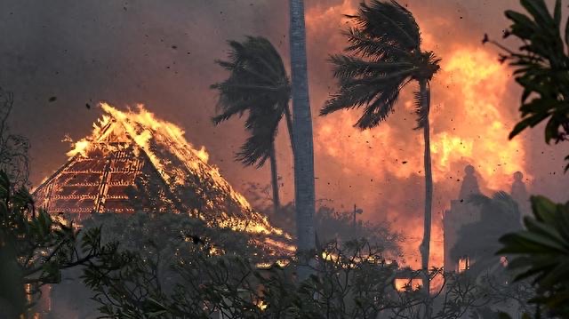 网络配图 网络配图