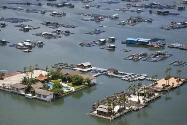 网络配图 网络配图