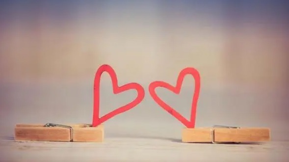 网络图片(侵删) 网络图片(侵删)