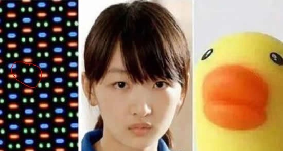 网络配图 网络配图