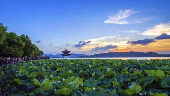 网络配图 网络配图