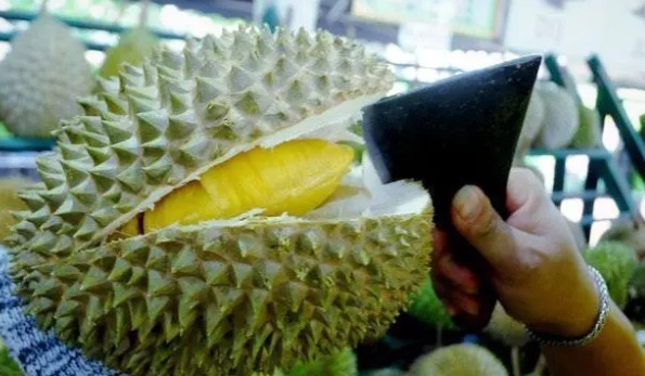 网络配图 网络配图