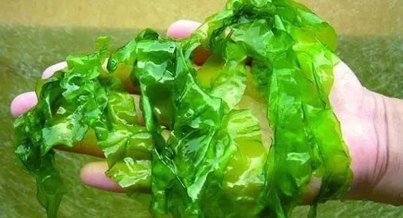 网络配图 网络配图