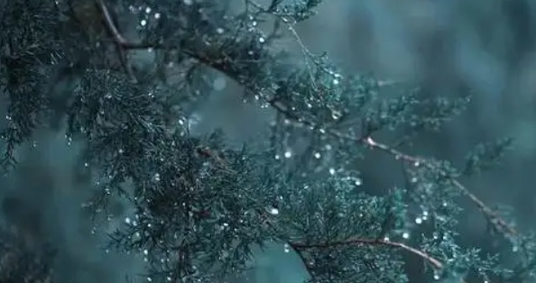 网络配图 网络配图