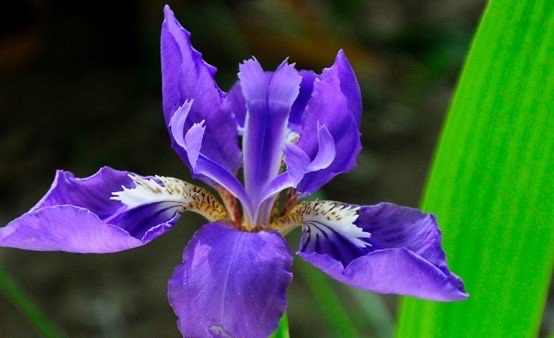 网络配图 网络配图