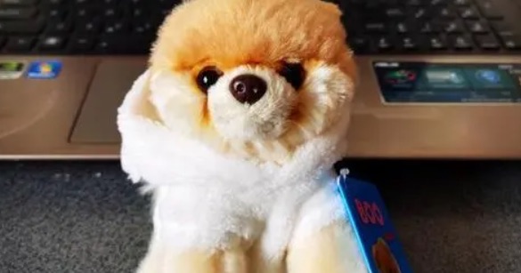 网络配图 网络配图