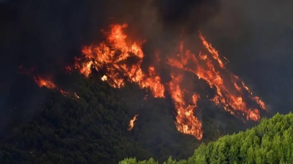 网络配图 网络配图