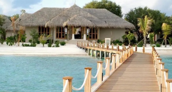 网络配图 网络配图