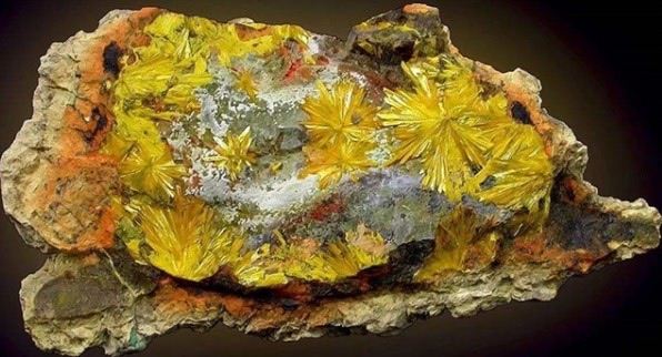 网络图片(侵删) 网络图片(侵删)