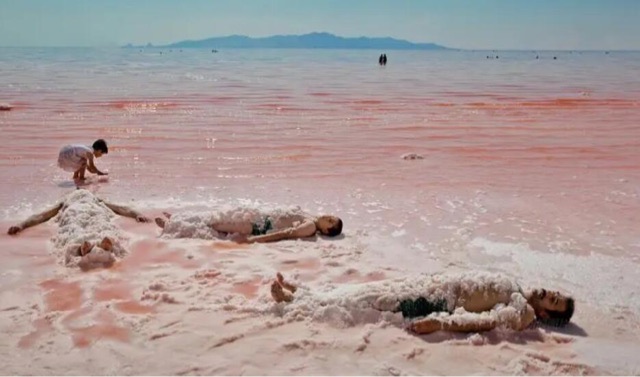 网络图片(侵删) 网络图片(侵删)