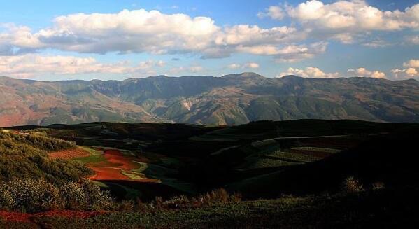 网络图片(侵删) 网络图片(侵删)