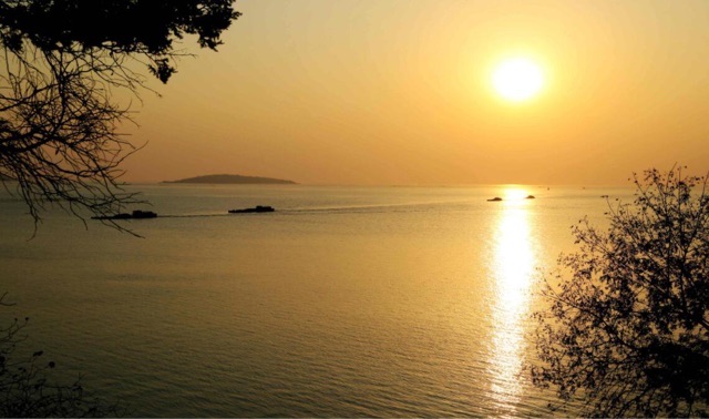 网络图片(侵删) 网络图片(侵删)