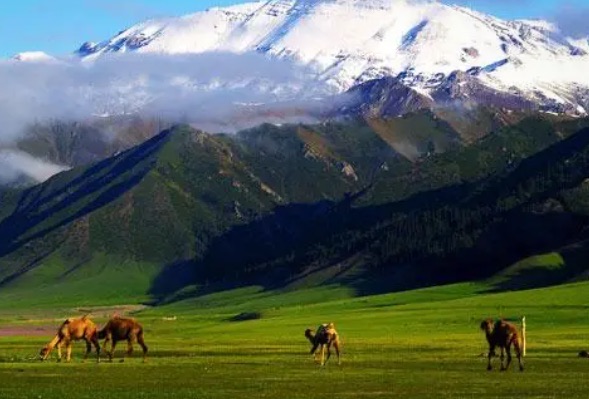 网络图片(侵删) 网络图片(侵删)