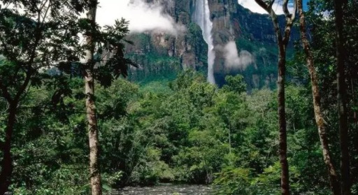 网络图片(侵删) 网络图片(侵删)