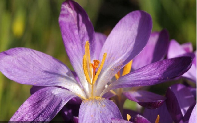 网络图片(侵删) 网络图片(侵删)