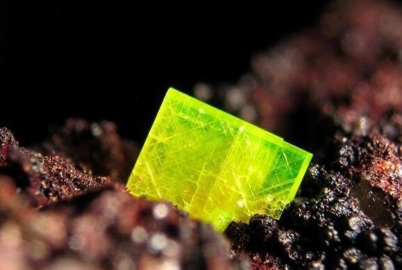 网络图片(侵删) 网络图片(侵删)