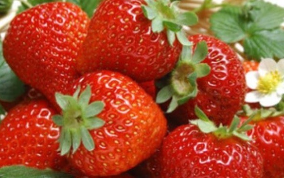 网络图片(侵删) 网络图片(侵删)