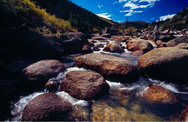 网络图片(侵删) 网络图片(侵删)