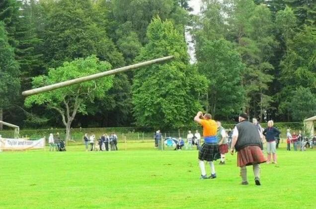 网络图片(侵删) 网络图片(侵删)