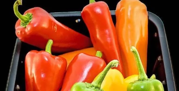 网络图片(侵删) 网络图片(侵删)