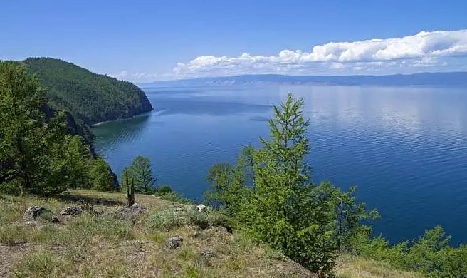 网络图片(侵删) 网络图片(侵删)