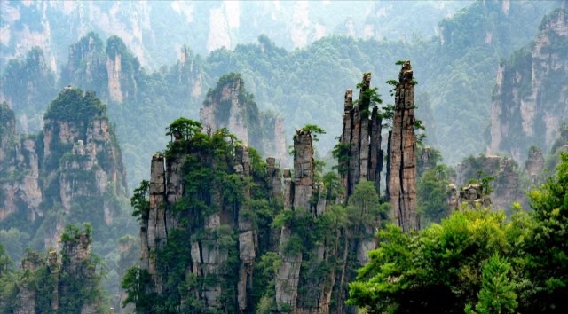 网络配图 网络配图