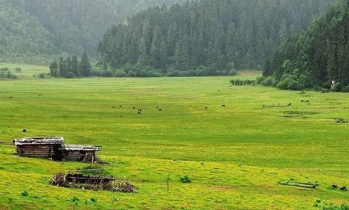 网络配图 网络配图