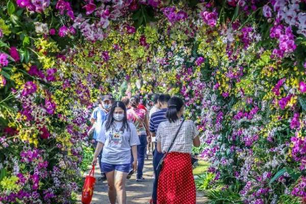 网络配图 网络配图