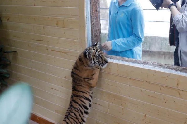 网络配图 网络配图