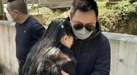 网络图片(侵删) 网络图片(侵删)