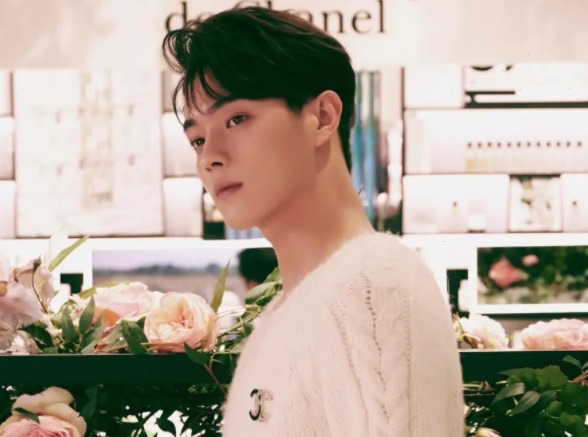 网络图片(侵删) 网络图片(侵删)