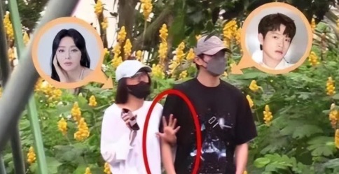 网络图片(侵删) 网络图片(侵删)